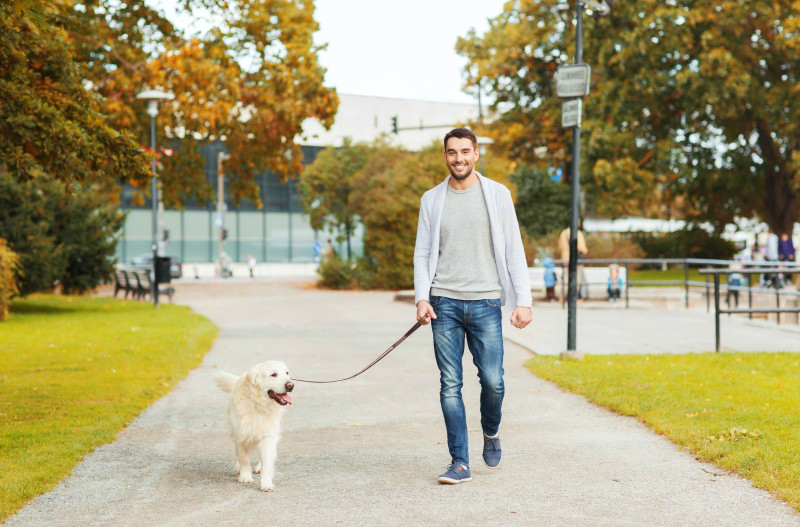 Dogs Love Going on Walks: 3 Reasons to Hire a Dog Walker in NYC