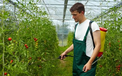 Effective Aquatic Herbicides for Healthy Waterways