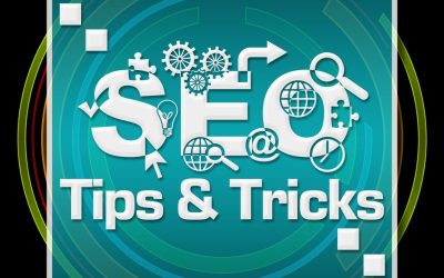 Unlock Local Visibility for Your Brand When You Hire an Seo Consultant Naples FL