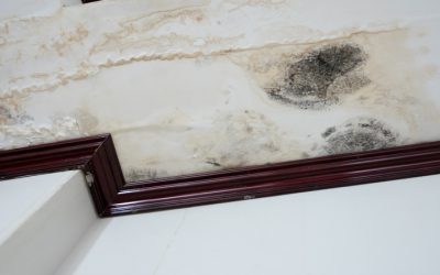 Protect Your Property with Water Damage Restoration in Downers Grove IL Solutions