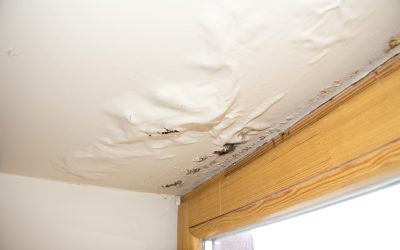 Restore Peace of Mind After Flooding Using Water Damage Cleanup in Hinsdale, IL